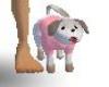Puppy with pink sweater