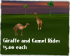 DW~Animal Rides