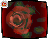 ♡ roses ♡