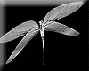 SILVER DRAGONFLY