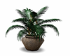 wicker Potted Plant