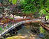 el rio cuadro