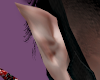 Ears addon