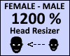 Head Scaler 1200%