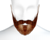 [PIT] Redhead Beard