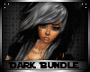 DCHIC Bundle