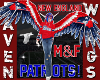 NEW ENGLAND PATRIOT WING