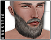d| Gray Beard II