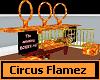 Circus Flamez Tiger Show