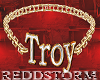 Troy Gold Choker Req