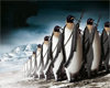 Penguin army pic