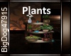 [BD]Plants