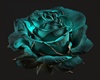 LIGHTS ROOM ROSE