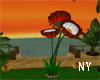 NY| Windy Big Flowers