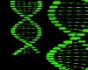 Green DNA Lights