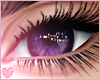 Starry - Grape Eyes