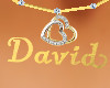 David Heart Necklace (F)