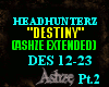{Ash}Destiny pt2/2