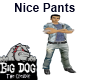 [BD] Nice Pants