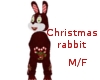 christmas rabbit