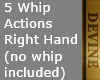 ED 5 Whip Actions RHand