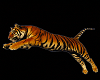 tiger2 cutout