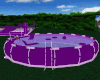 ! Purple Swimming Pool