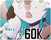 [Pets] 60k support