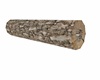 Hollow Poseless Log