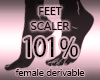 Foot Scale Resize 101%