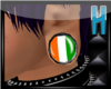 ~H~Irish Flag Plugs F
