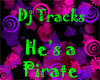 DJ Tracks - Hes A Pirate