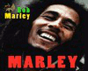 Bob Marley-Jammin DS