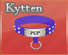 -K- Pup Blue Collar