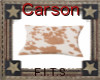 carson pillow 2