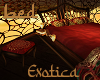 Exotica Bed