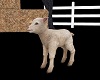 IMI Animated lamb