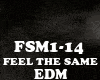 EDM - FEEL THE SAME