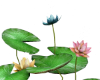 garden plant decorations