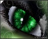 ((MA))Cat Eyes Green