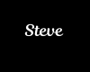 Steve Necklace/F