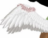 angel rose wings
