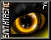 [ST] Goldie Eye (F)