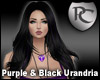 Purple & Black Urandria