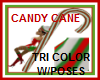 CANDY CANE multi w/POSES