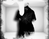 spiderwebs