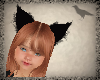 Black Cat Ears