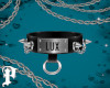 P. Lux Collar