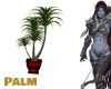 Palm big red