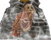 Sensual Owl Shawl